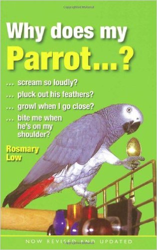 whyparrot
