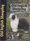 oldengsheepdog