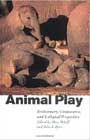 animalplay