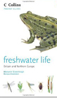 freshwaterlife
